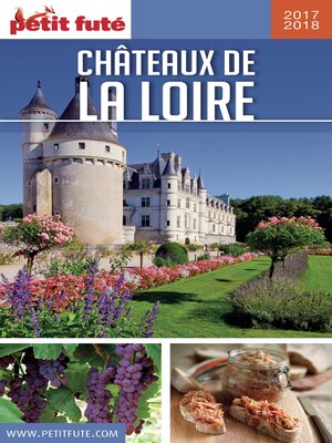 cover image of CHÂTEAUX DE LA LOIRE 2017/2018 Petit Futé